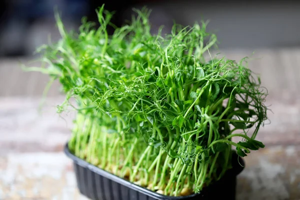 Kavanozda yeşil bezelye