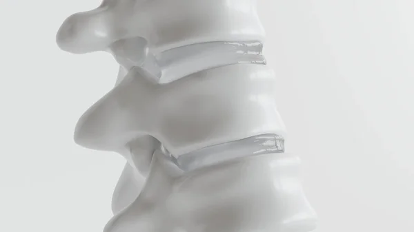 Spinal Close Als Rendering — Stockfoto