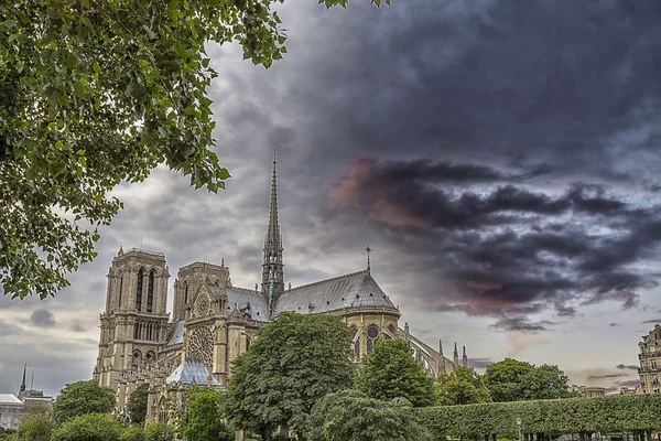 Katedralen i paris — Stockfoto