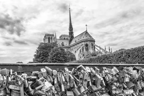 Catedral de Notre Dame desde el puente — Foto de Stock