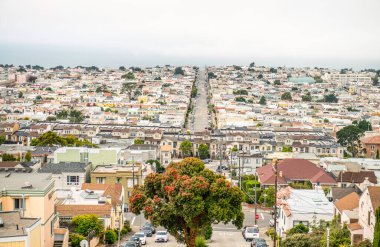 San Francisco sokaklarının panoramik manzarası.