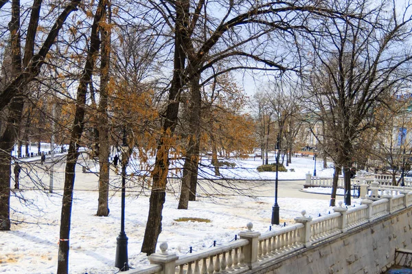 Москва Зимовий Сад — стокове фото