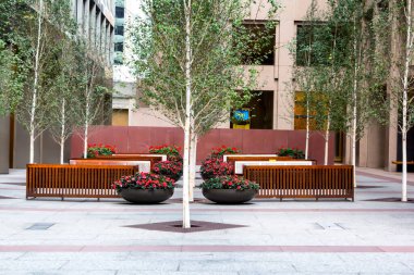 Manhattan 'ın içinde küçük bir bahçe.