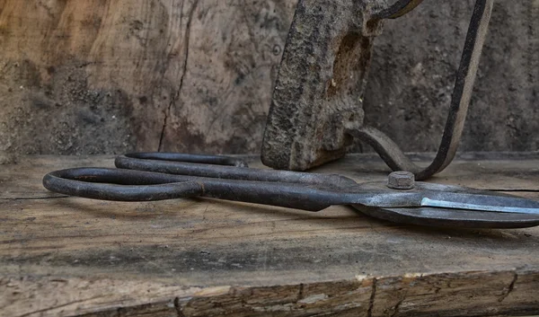 The old pruning shears — Stock Photo, Image