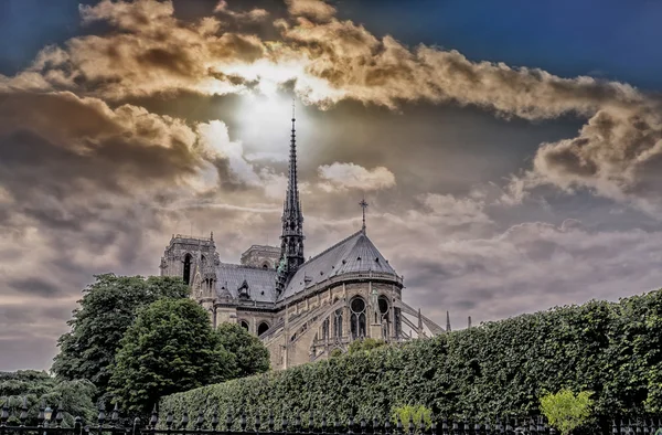 Smuk himmel over Notre Dame - Stock-foto