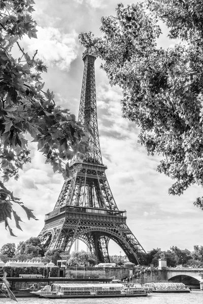 Eiffeltoren tussen de bomen — Stockfoto