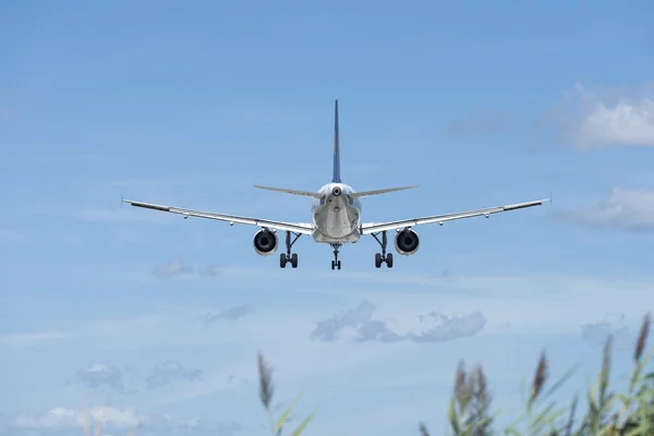 Plane during landing — Stock Photo, Image