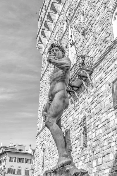 O David de Michelangelo . — Fotografia de Stock