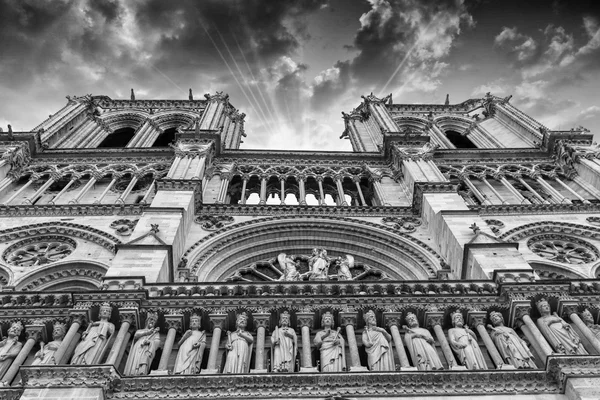 Notre Dame set nedefra - Stock-foto