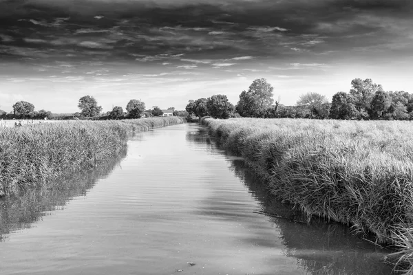 Kleiner Fluss Mit Schönem Himmel — Stockfoto