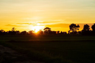 Gün batımı resimleri, kırsal kesimde akşam atmosferi kırsal kesimde..