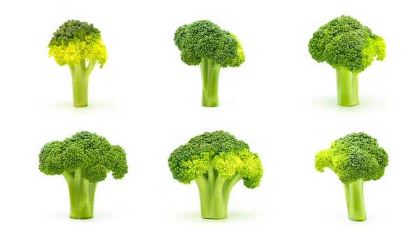 Ensemble Brocolis Frais Collections Blocs Brocoli Frais Pour Cuisson Isolés — Photo