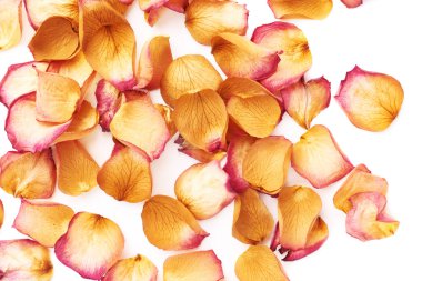 Romantik arka plan düzenleme olarak pembe gül yaprakları ile kaplı beyaz yüzey