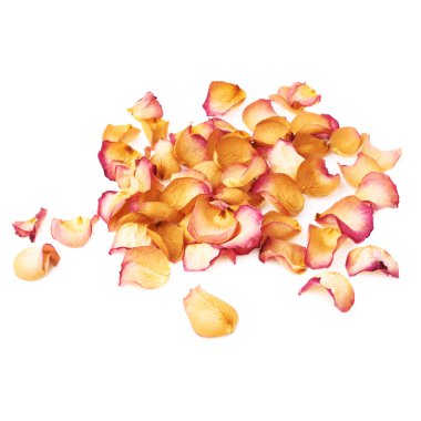 Romantik arka plan düzenleme olarak pembe gül yaprakları ile kaplı beyaz yüzey