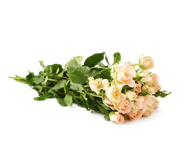 束玫瑰花在孤立的白色背景 — 图库照片