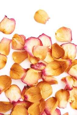 Romantik arka plan düzenleme olarak pembe gül yaprakları ile kaplı beyaz yüzey