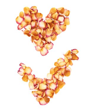 Pembe gül yaprakları romantik bir düzenleme olarak beyaz arka plan üzerinde yapılan kalp şekli