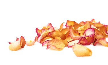 Romantik arka plan düzenleme olarak pembe gül yaprakları ile kaplı beyaz yüzey