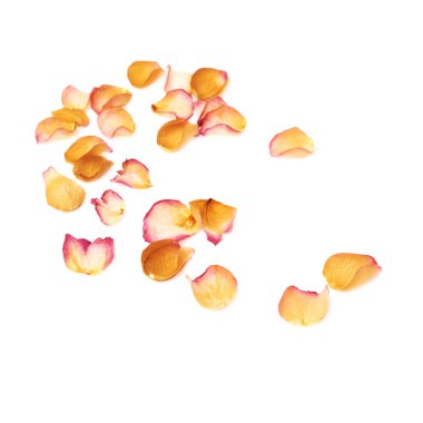 Romantik arka plan düzenleme olarak pembe gül yaprakları ile kaplı beyaz yüzey