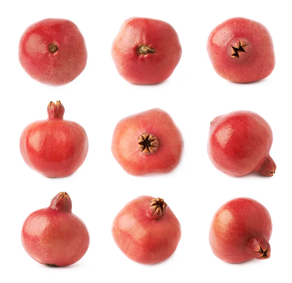 Granatäpple punica granatum frukt — Stockfoto