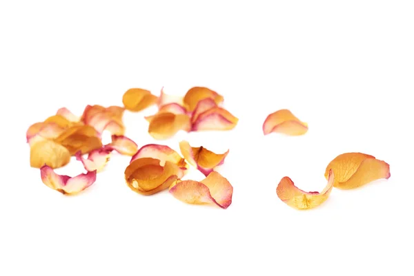Biała powierzchnia pokryta różowe płatki róż jako romantyczny tło kompozycji — Zdjęcie stockowe