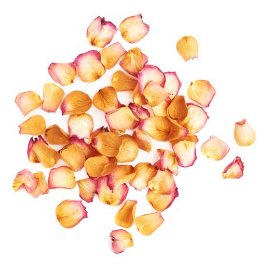 Romantik arka plan düzenleme olarak pembe gül yaprakları ile kaplı beyaz yüzey