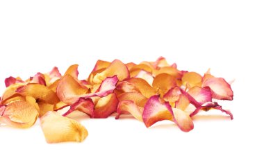 Romantik arka plan düzenleme olarak pembe gül yaprakları ile kaplı beyaz yüzey