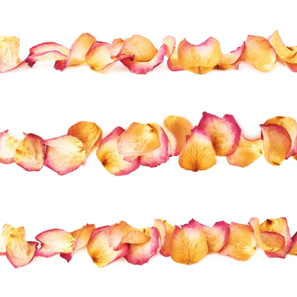 Linia wykonana z różowe płatki róż jako romantyczna kompozycja na białym tle — Zdjęcie stockowe