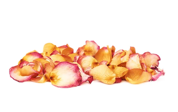 Kupie różowe płatki róż jako romantyczna kompozycja na białym tle — Zdjęcie stockowe