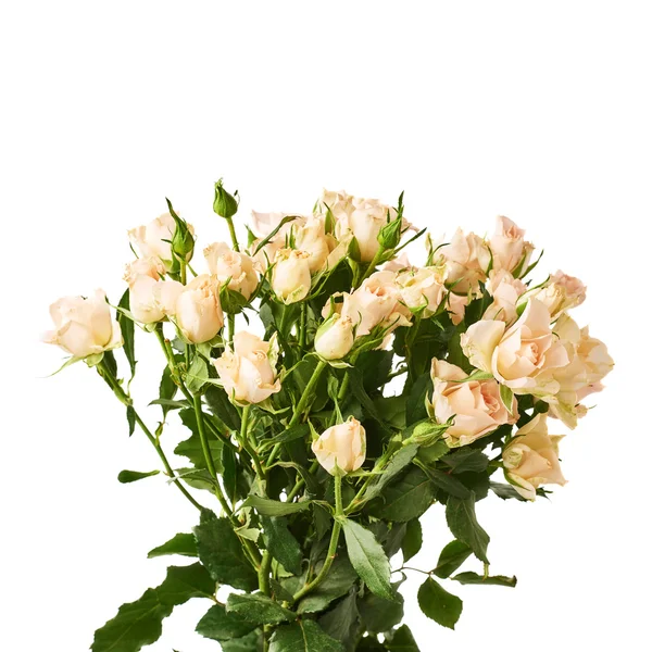 Kytice růží bílé izolované pozadí — Stock fotografie