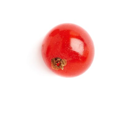 Tek kırmızı beyaz arka plan üzerinde izole Frenk üzümü