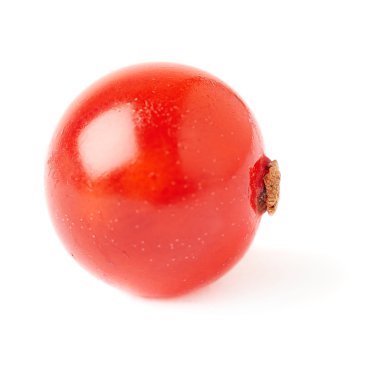 Tek kırmızı beyaz arka plan üzerinde izole Frenk üzümü