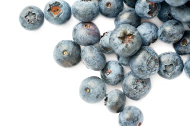 Bilberry veya izole beyaz arka plan üzerinde yaban mersini