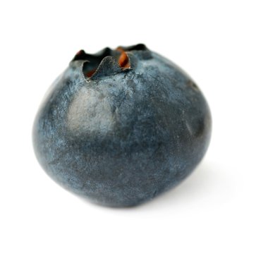 Bilberry veya blueberry izole beyaz arka plan üzerinde tek berry