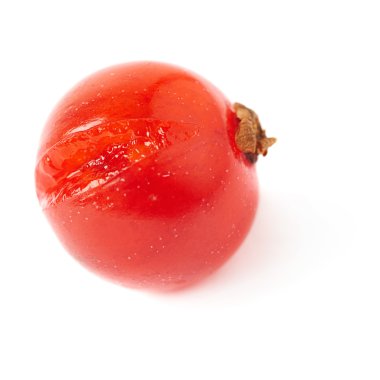Tek kırmızı beyaz arka plan üzerinde izole Frenk üzümü