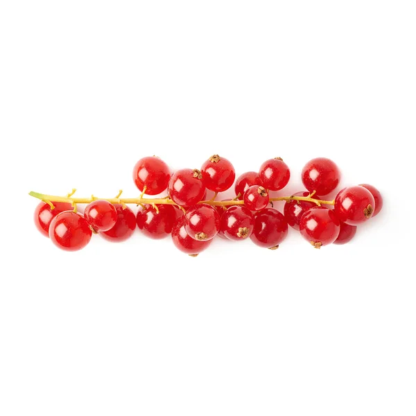 Ribes rosso isolato su sfondo bianco — Foto Stock