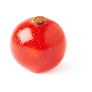 Tek kırmızı beyaz arka plan üzerinde izole Frenk üzümü