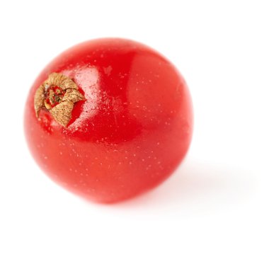 Tek kırmızı beyaz arka plan üzerinde izole Frenk üzümü