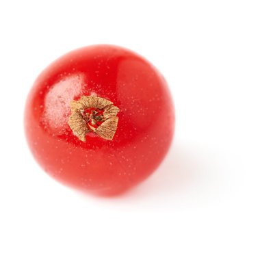 Tek kırmızı beyaz arka plan üzerinde izole Frenk üzümü