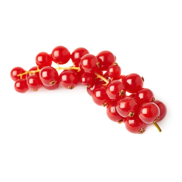 Red Currant isolated over white background — Stock Photo, Image