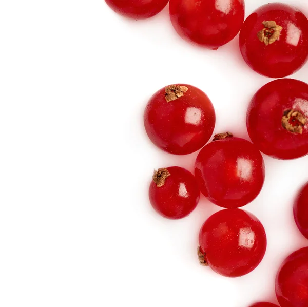 Red Currant isolated over white background — Stock Photo, Image