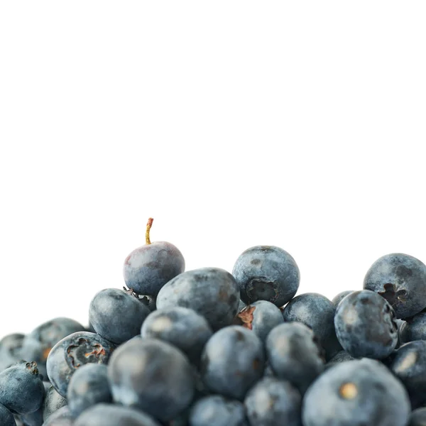 Haufen Heidelbeeren oder Blaubeeren auf isoliertem weißem Hintergrund — Stockfoto