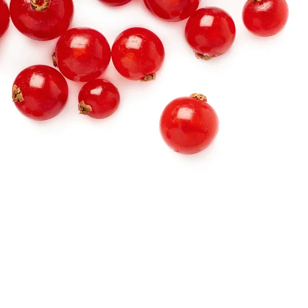 Grosella roja aislada sobre fondo blanco —  Fotos de Stock