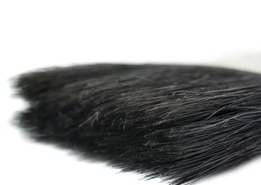 Boya fırça kıl izole beyaz arka plan üzerinde