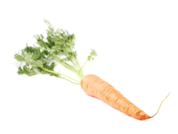 Carrot with the green top isolated over white background — Stock Photo, Image