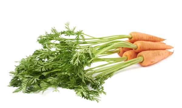 Karottenstrauß mit grünem Kreisel auf weißem Hintergrund — Stockfoto