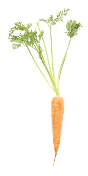Karotte mit grünem Oberteil isoliert über weißem Hintergrund — Stockfoto