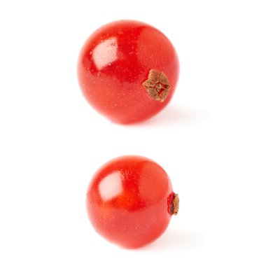 Tek kırmızı beyaz arka plan üzerinde izole Frenk üzümü kümesi