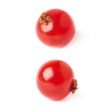 Tek kırmızı beyaz arka plan üzerinde izole Frenk üzümü kümesi