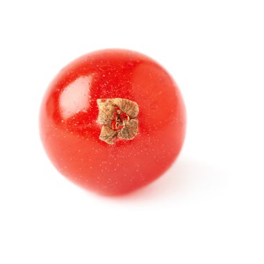 Tek kırmızı beyaz arka plan üzerinde izole Frenk üzümü